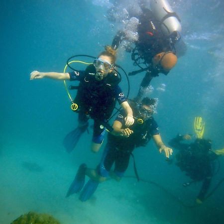 Alegria Dive Resort Extérieur photo