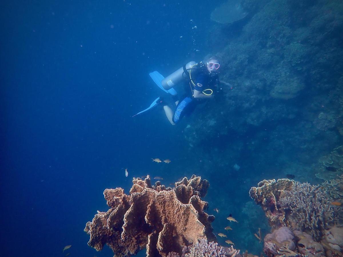 Alegria Dive Resort Extérieur photo